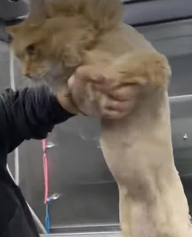 Don’t forget the belly