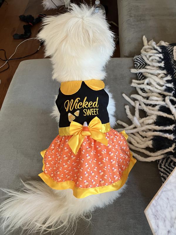 Bootique Wicked Sweet Dress for Dogs Cats X Small Petco