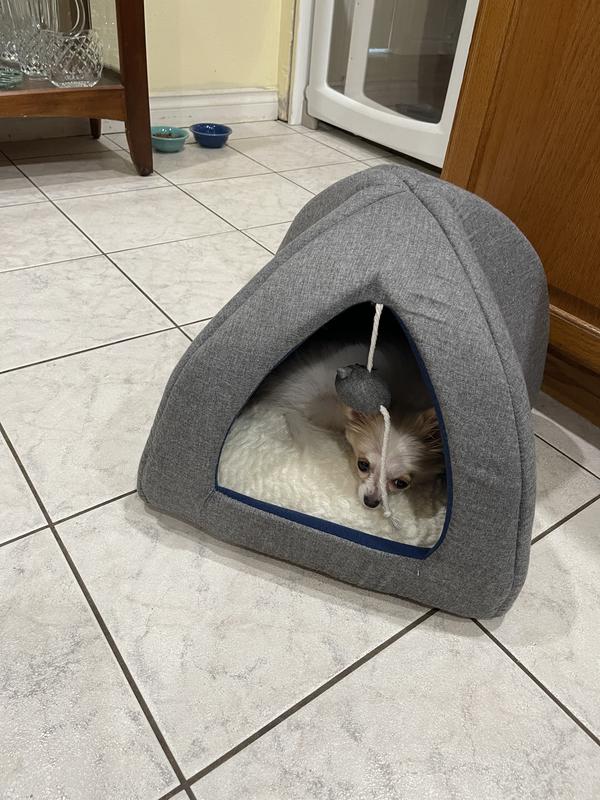 Wainwrights sales cat bed