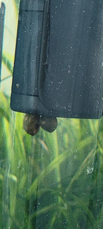 Tetra Whisper Internal Filter, 4 Gallon