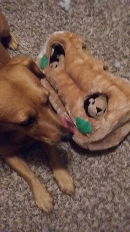 Outward Hound Hide-A-Squirrel® Puzzle Dog Toy