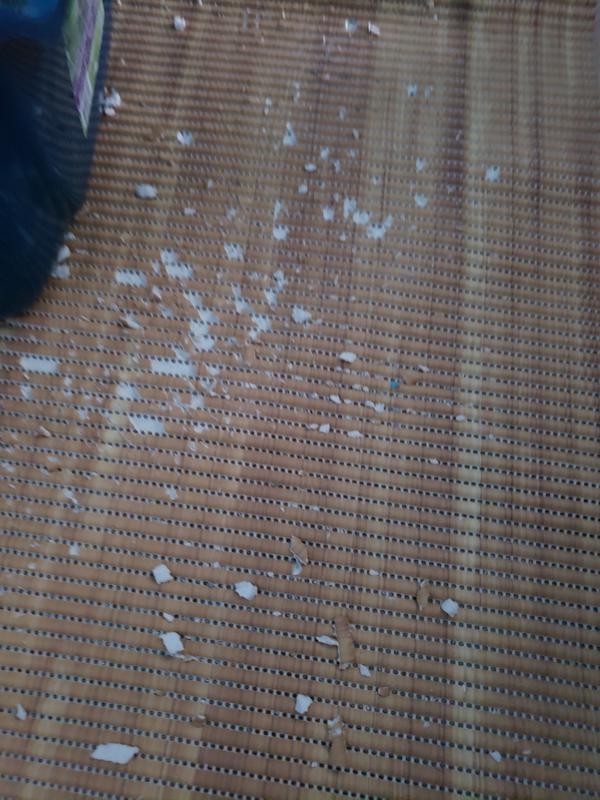 Chunks torn off it