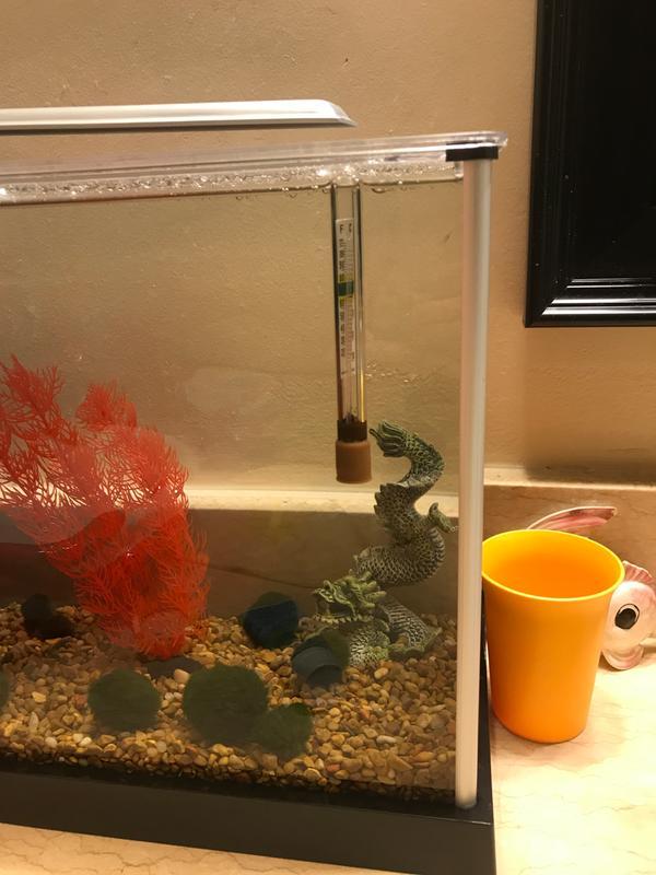 Bobs instead of sinking