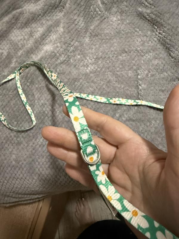 Showing the width, plus there is a loop on the end to put your wrist through