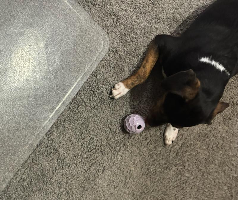 Reg and Ball