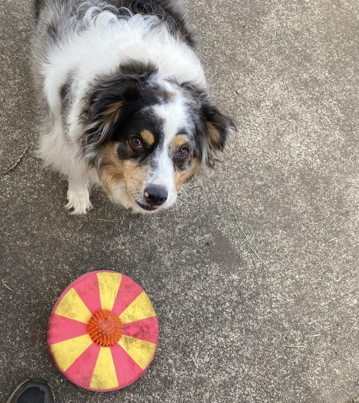 Please throw it again