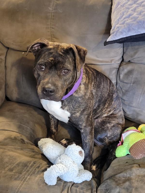 Moka's first day with her new family