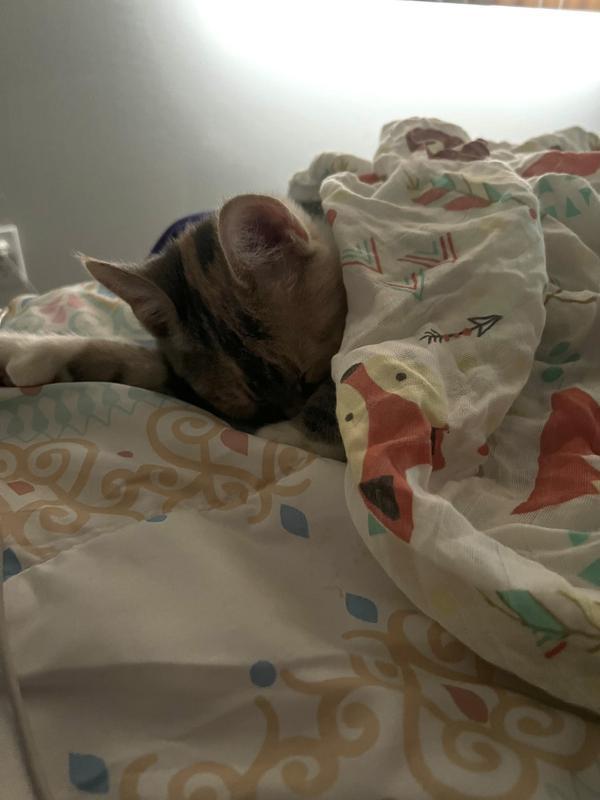 Sleeping with mommy
