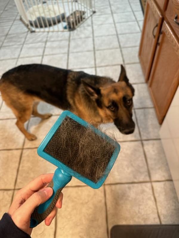 Koda does not approve