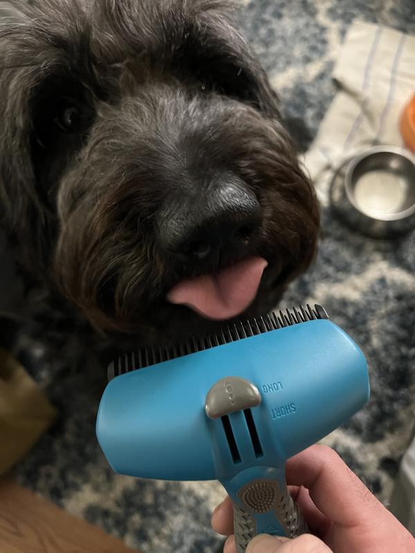 Brush and my pup