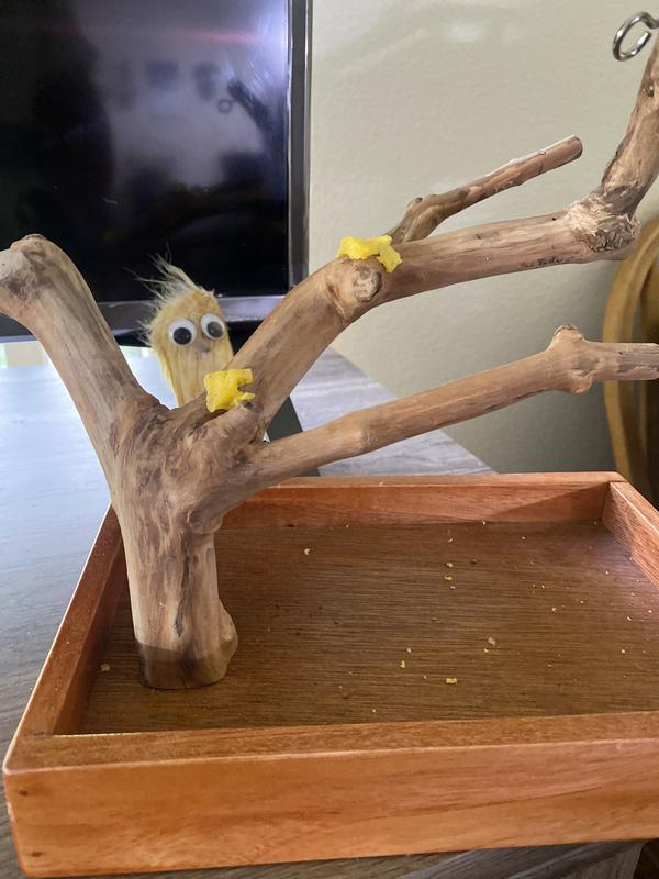 Treat tree?