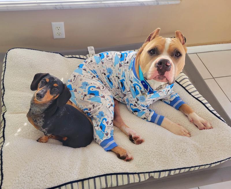 I believe this is the large bed 40x30x4 in. Moose is a 70 lb American Bully and Milo is a 9 lb dachshund