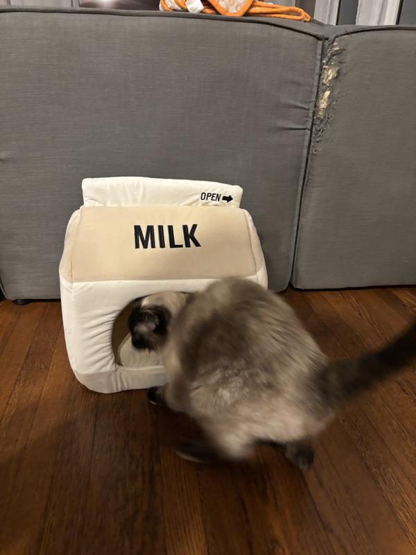 Photo - commentaire 5.