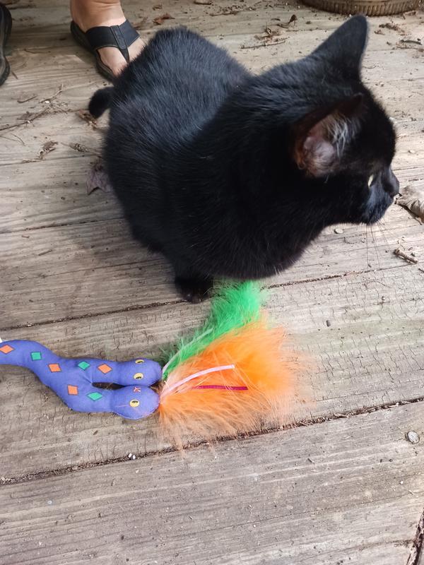 Spooky with her teaser.