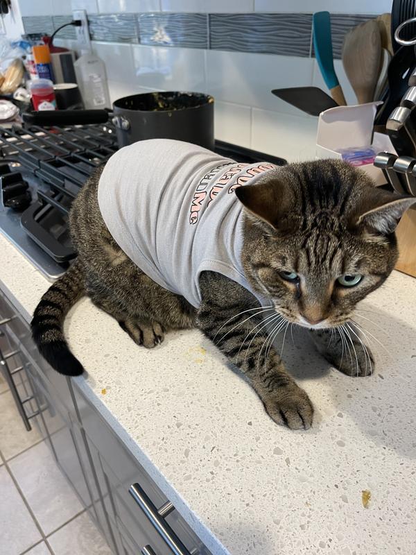 Not amused.