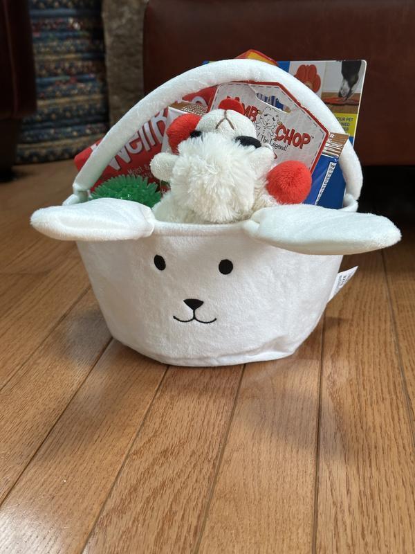 Holds a two bags of treats , a toy, a lick mat, a ball and still room for more!