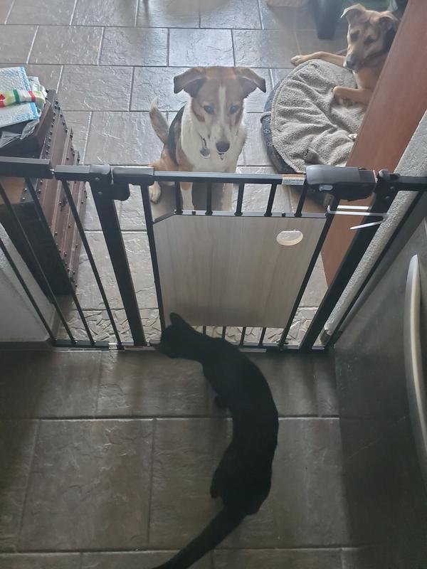 Keeps my babies out of the way while im cooking :-)