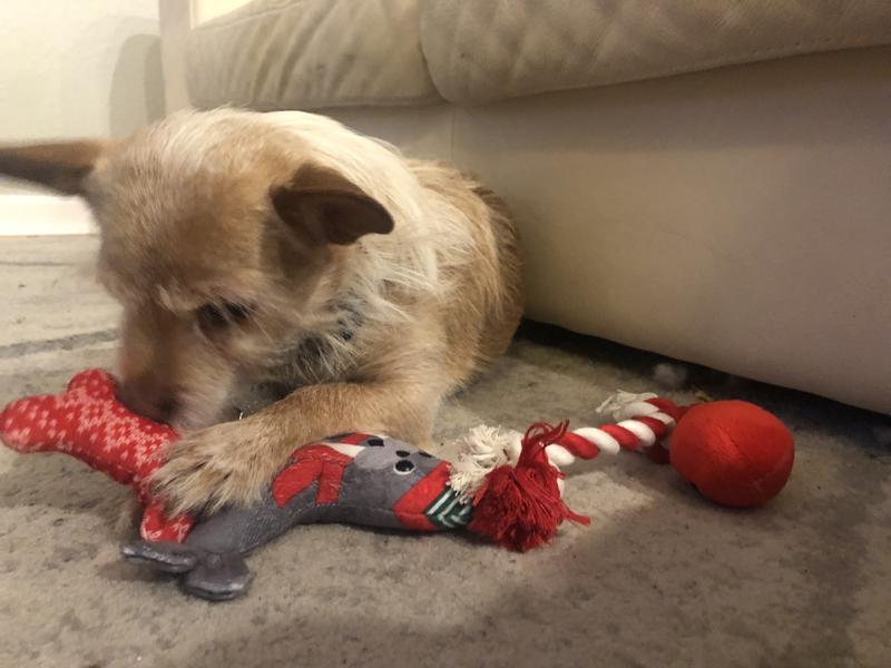 Photo - commentaire&nbsp;4.