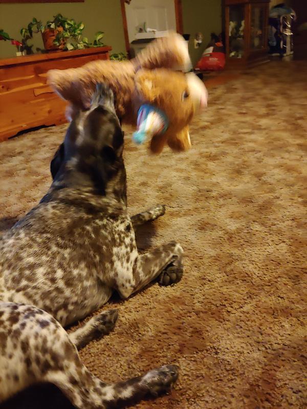 I flipz it in da air mom