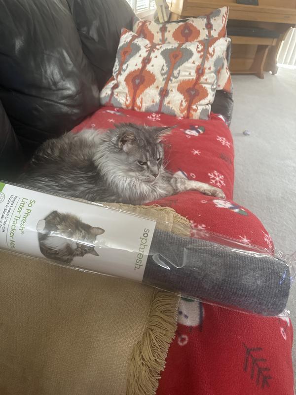 What’s this dad?