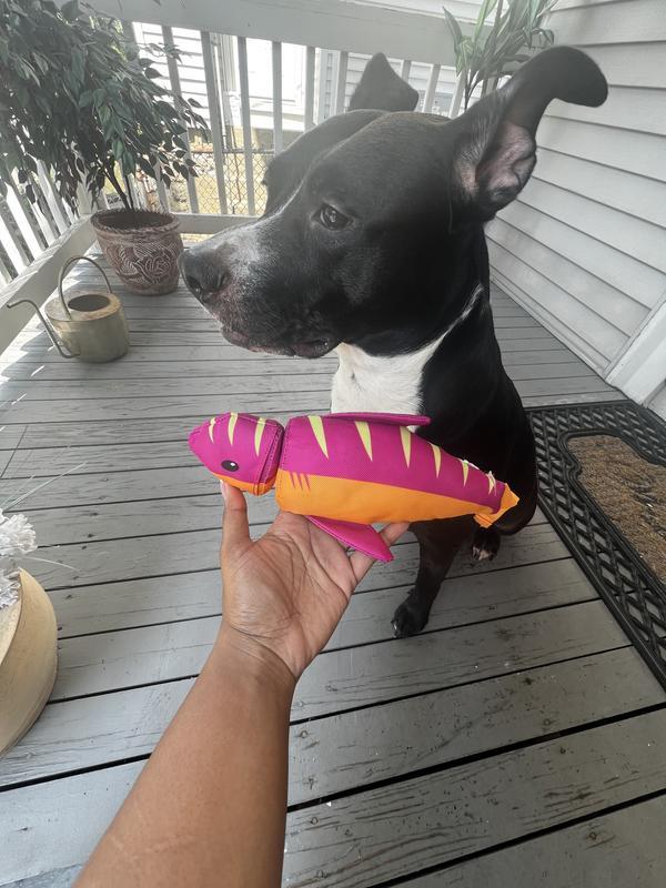 Photo - commentaire&nbsp;5.