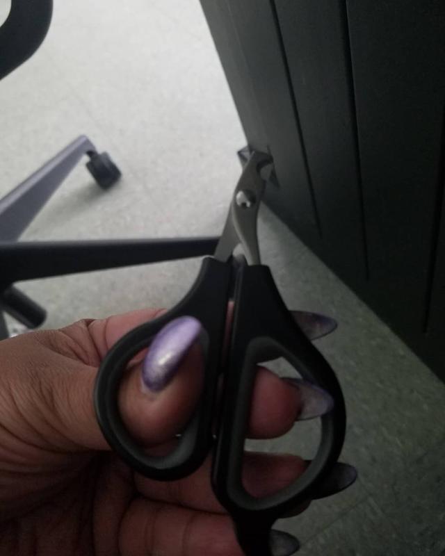 Cat nail clippers