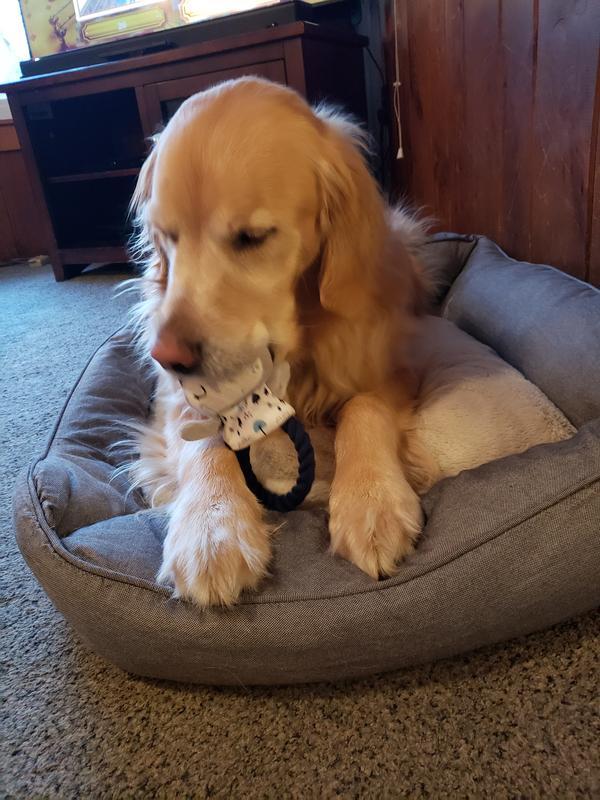 What do we have here?
