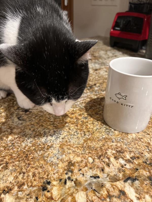 Enjoying my fresh treats