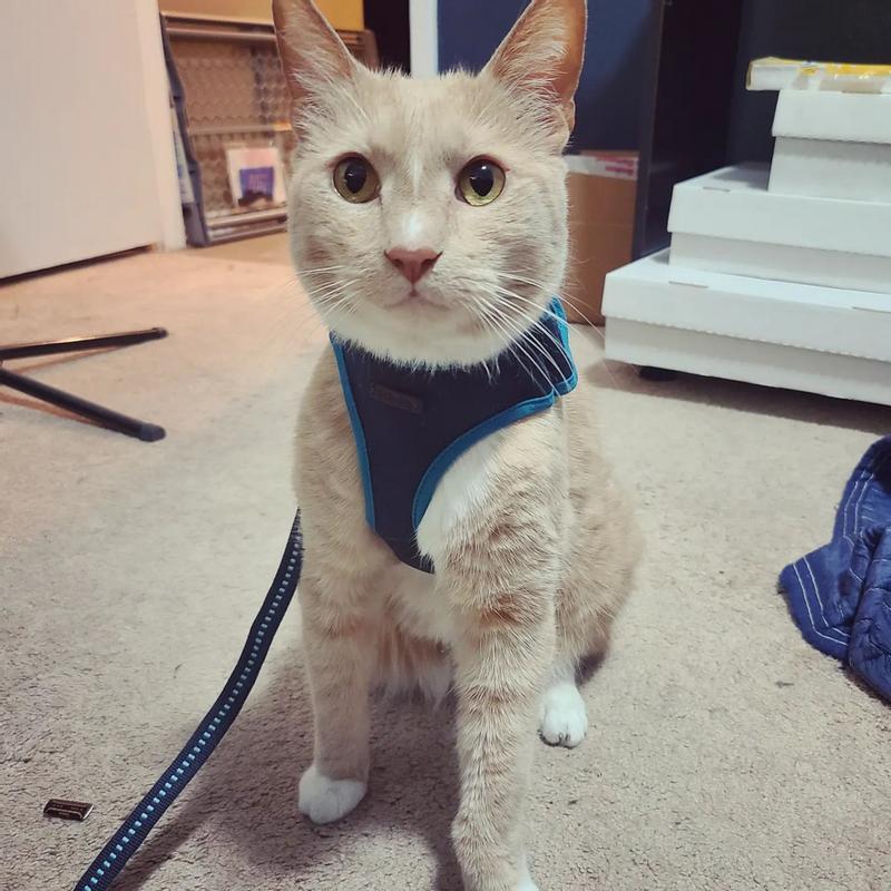 Looking so dapper!