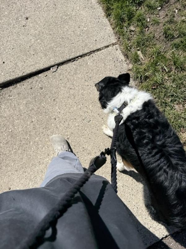 Cross body option
