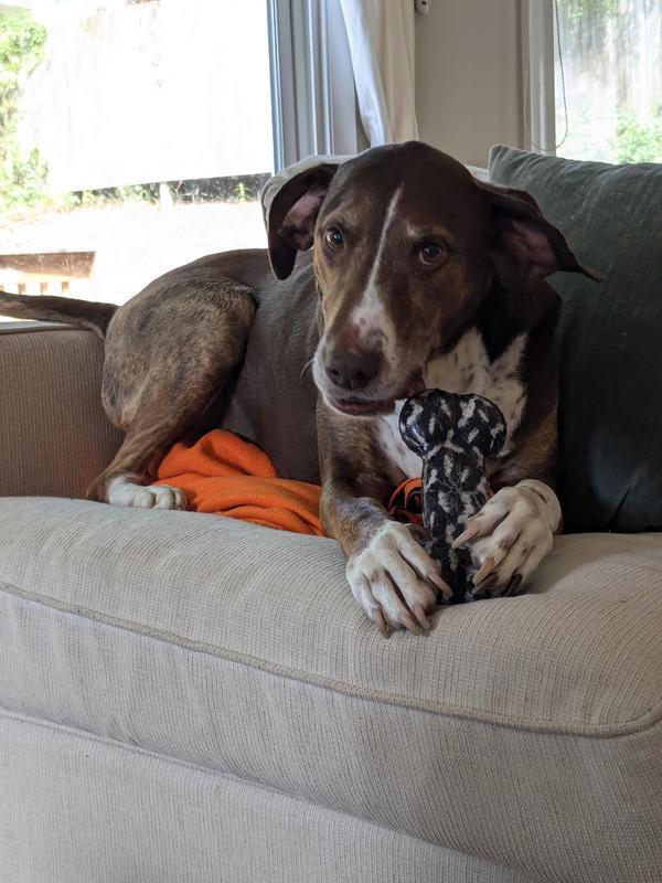 Photo - commentaire&nbsp;4.