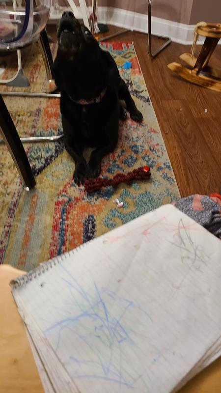 Photo - commentaire&nbsp;7.