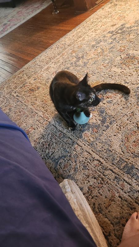 Loving her toy!!