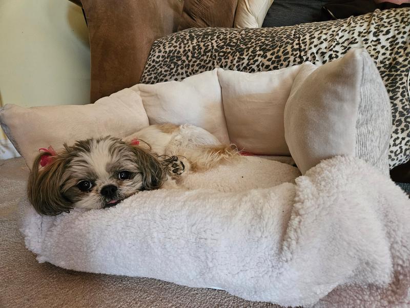 Comfy, but falling into the sides