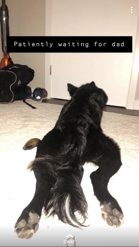 Laying with his hoove