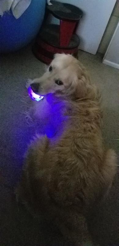 Photo - commentaire&nbsp;6.