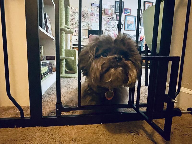 Small gate!!