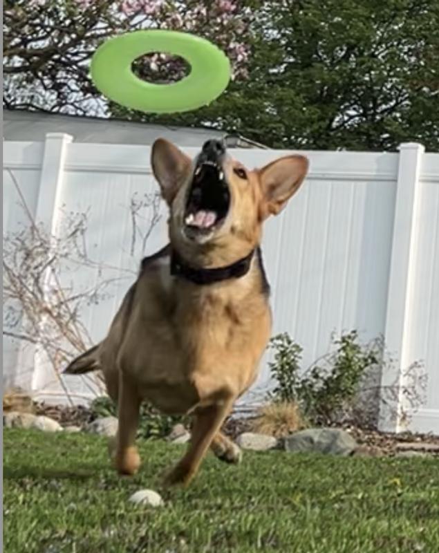 Catch!