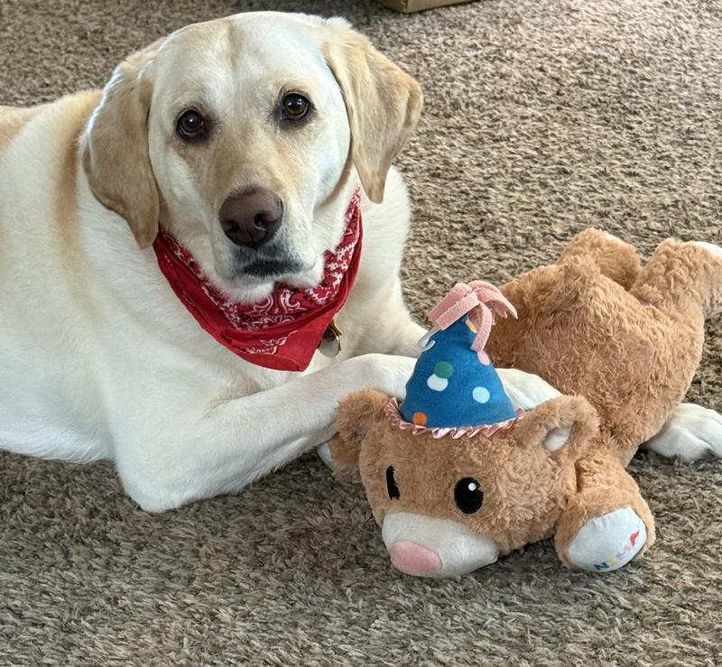 Her new fav!