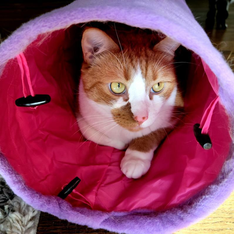 He thinks he's stealthy!