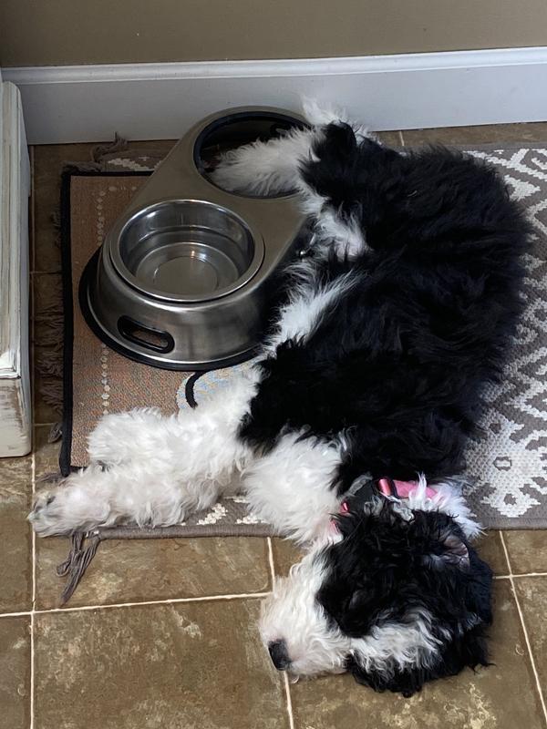Even asleep, she can’t spill the water!!! LOL