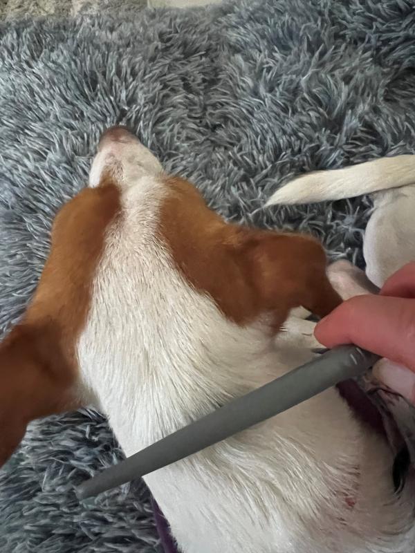 Checking her neck.