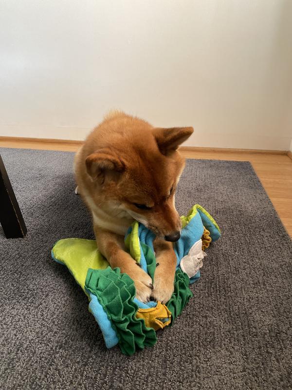 Chewing is Soothing