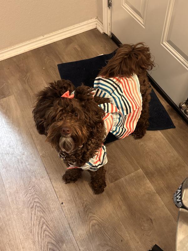 Posing for the camera