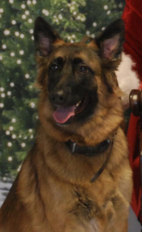 Photo - commentaire&nbsp;8.