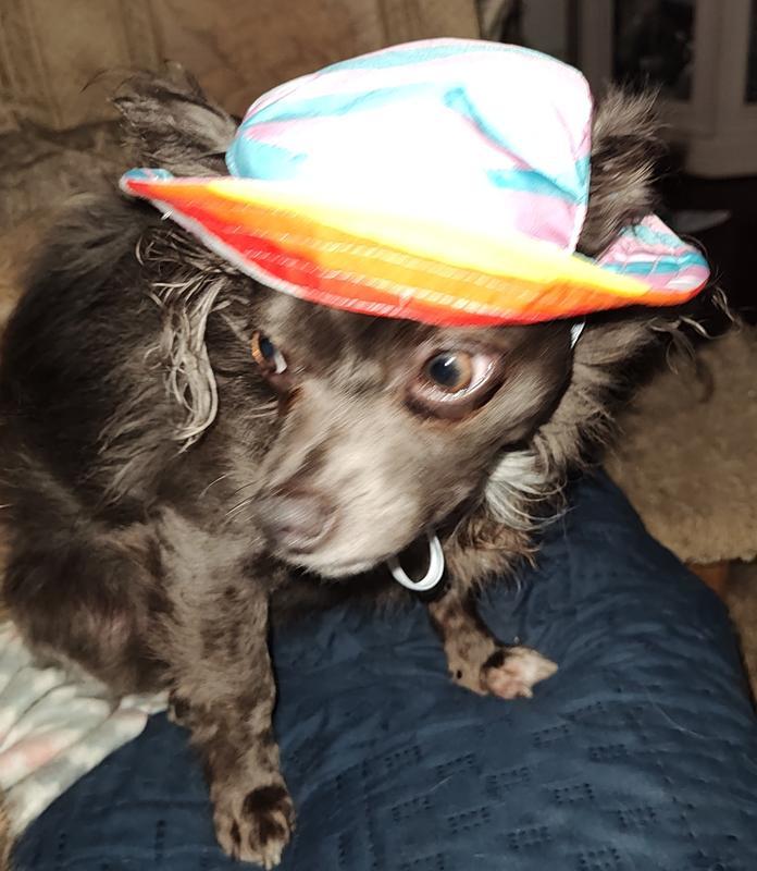 Frankie's all ready to hit the beach!