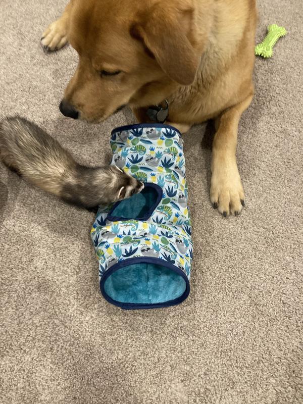 Dog wants to play too!