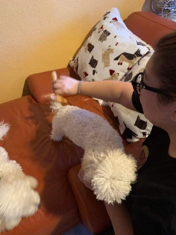 Her tail continued to wag during the entire process!