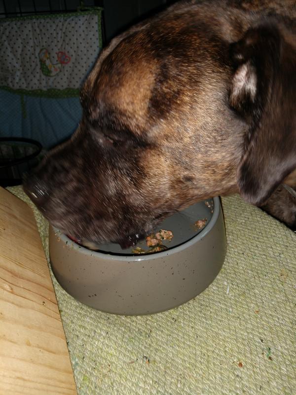 Yum