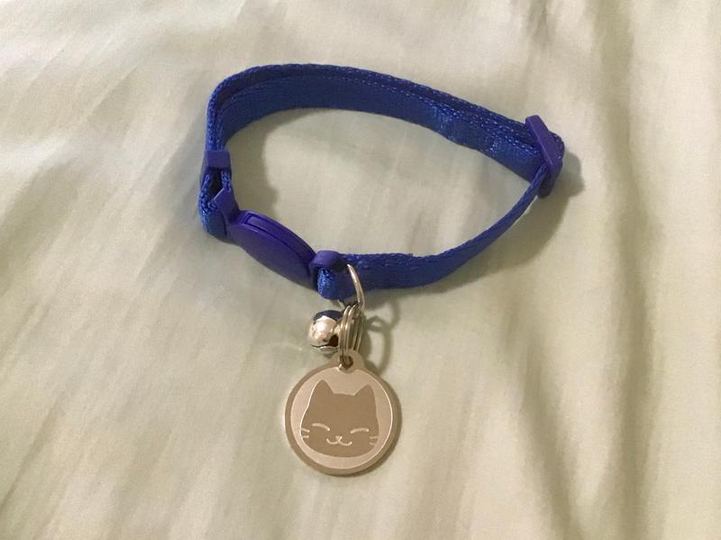 My cat collar with ID tag
